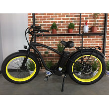 Wonderful Ride Feel Electric Bike Beach Ebike with Big Saddle